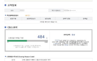 신용조회서비스